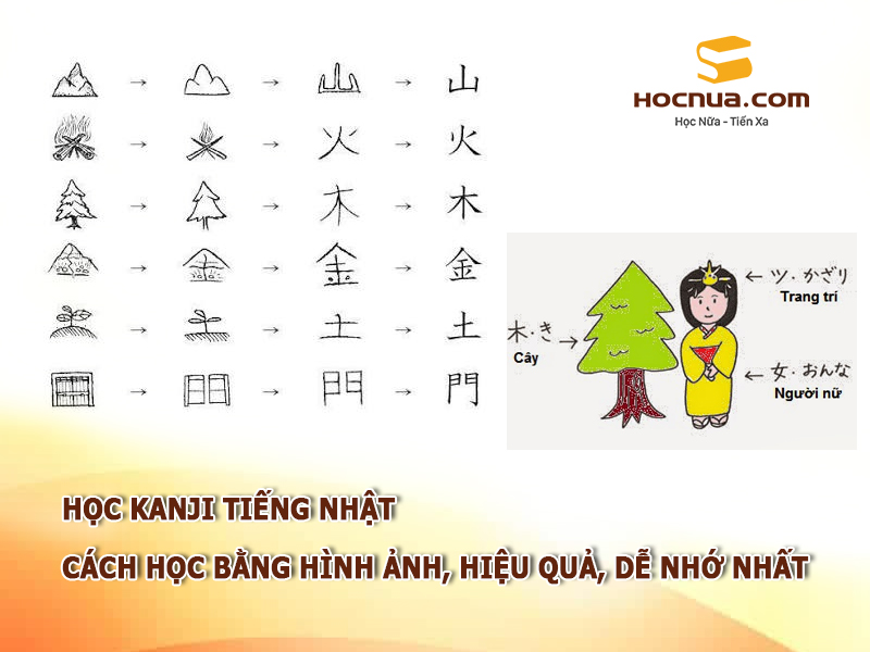 Học Kanji tiếng Nhật: Cách học bằng hình ảnh, hiệu quả, dễ nhớ nhất