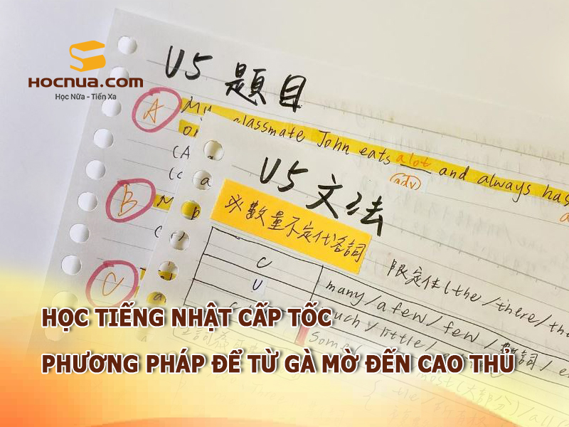 Học tiếng Nhật cấp tốc phương pháp để từ gà mờ đến cao thủ