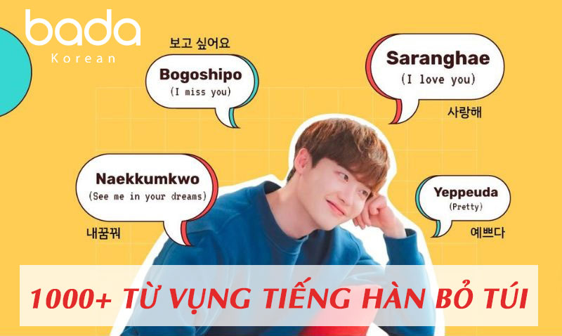 Từ vựng tiếng Hàn bỏ túi