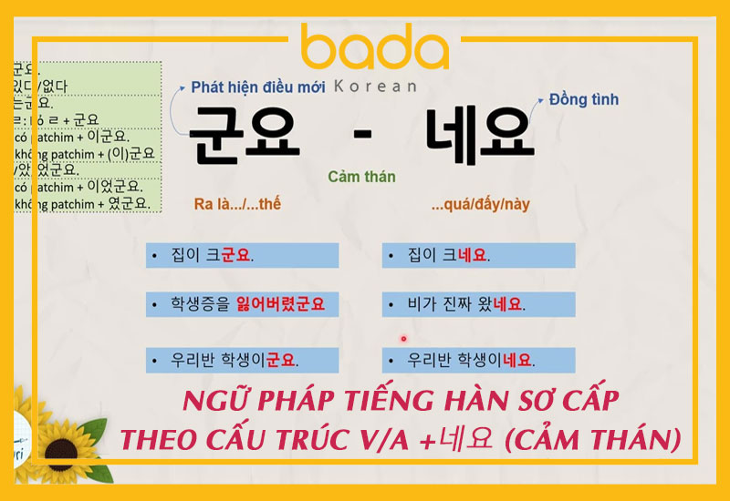 Ngữ pháp tiếng Hàn sơ cấp ở dạng V/A + 네요