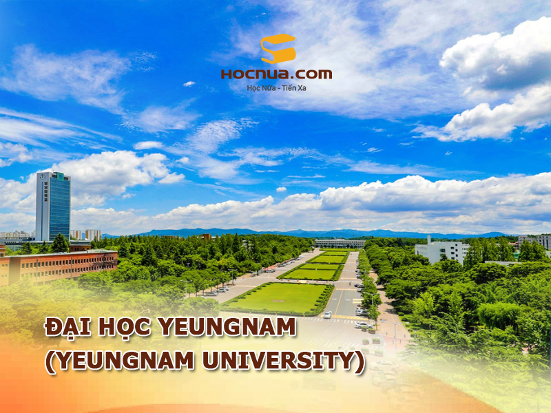 Đại học Yeungnam (Yeungnam University)