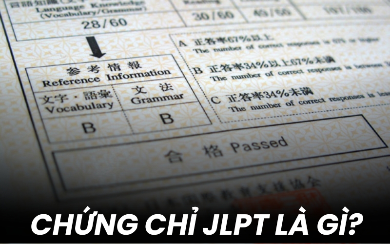 Bằng JLPT tổng quan - Hành trình từ N5 đến N1 đầy đủ nhất