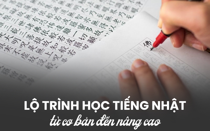 Bằng JLPT tổng quan - Hành trình từ N5 đến N1 đầy đủ nhất