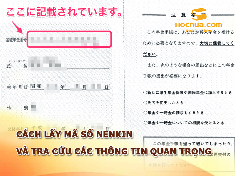 Cách lấy mã số Nenkin Và tra cứu các thông tin quan trọng
