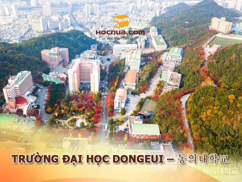 Trường Đại học DongEui - 동의대학교