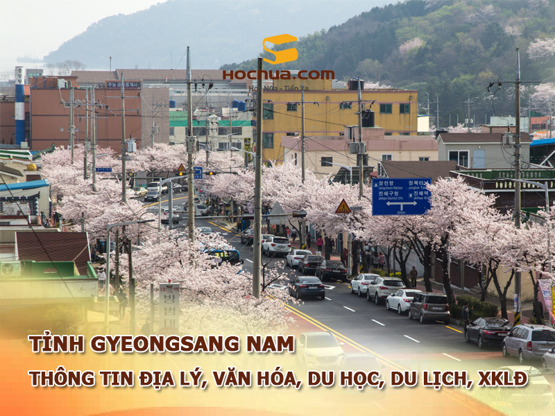 Tỉnh Gyeongsang Nam: Thông tin địa lý, văn hóa, du học, du lịch, xklđ