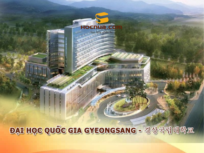 Trường Đại học Quốc gia Gyeongsang - 경상국립대학교