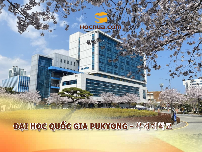 Trường Đại học Quốc gia Pukyong - 부경대학교