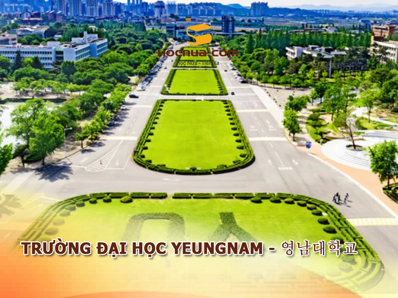 Trường Đại học Yeungnam - 영남대학교