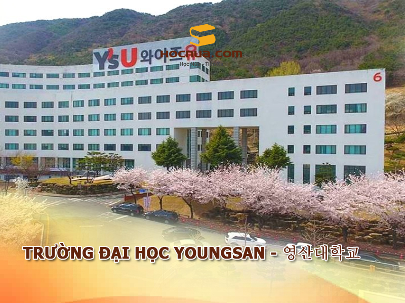 Trường Đại học Youngsan - 영산대학교