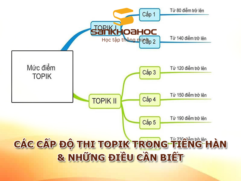 Các cấp độ thi TOPIK trong tiếng Hàn & Những điều cần biết