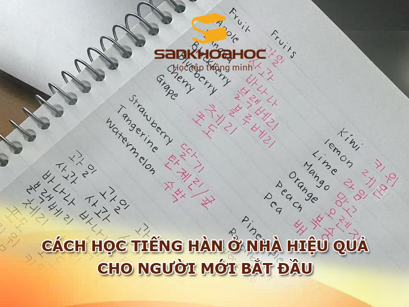 Cách học tiếng Hàn ở nhà hiệu quả cho người mới bắt đầu