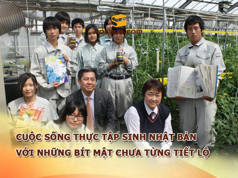 Cuộc sống thực tập sinh Nhật Bản với những bít mật chưa từng tiết lộ