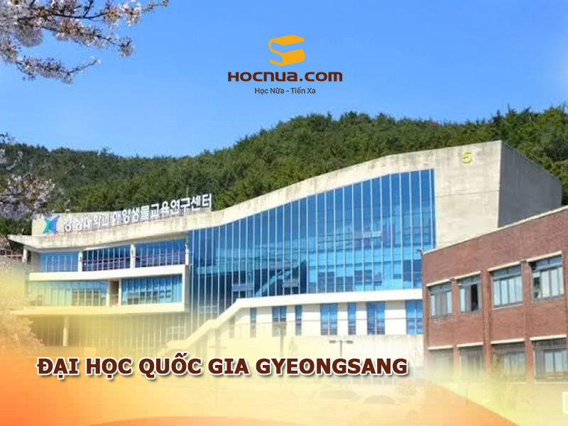 Đại học Quốc gia Gyeongsang