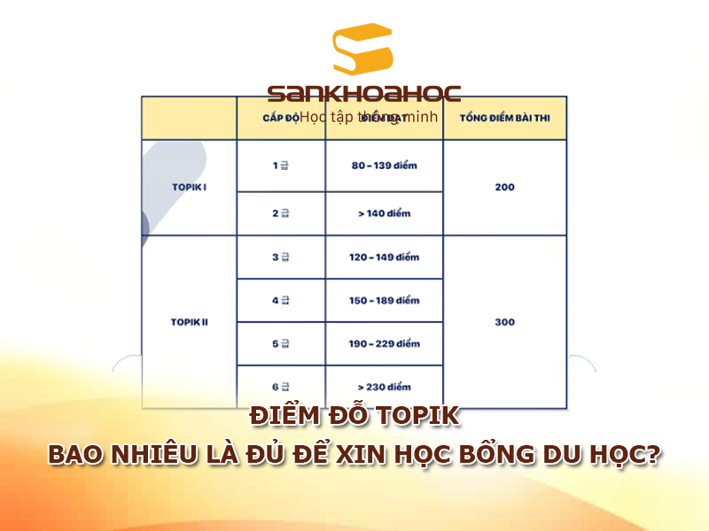 Điểm đỗ TOPIK: Bao nhiêu là đủ để xin học bổng du học?