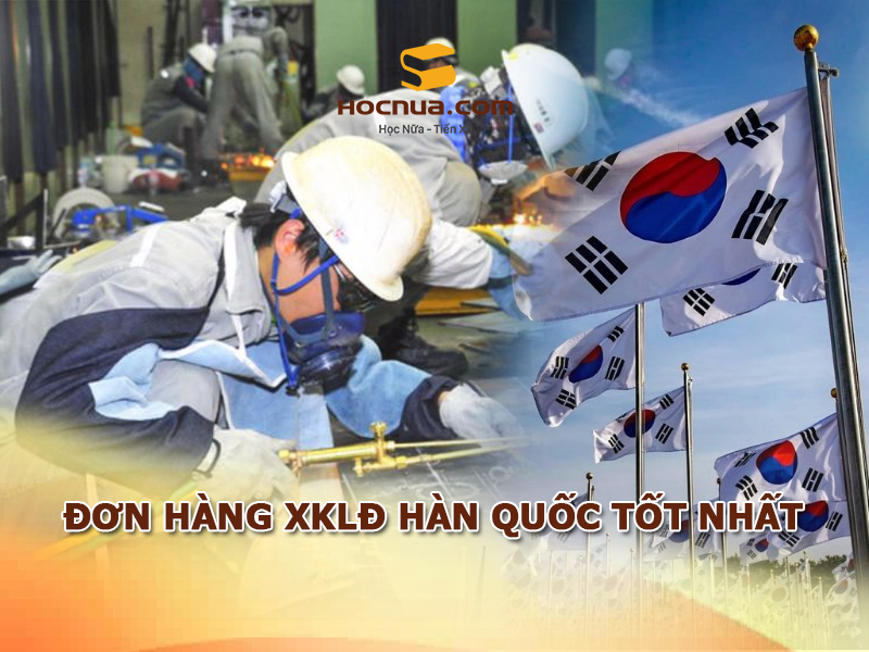 Đơn hàng XKLD Hàn Quốc