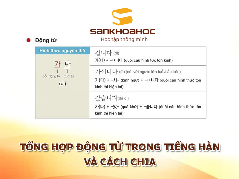 Tổng hợp động từ trong tiếng Hàn và cách chia