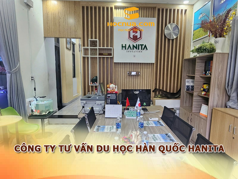 Công ty tư vấn du học Hàn Quốc Hanita