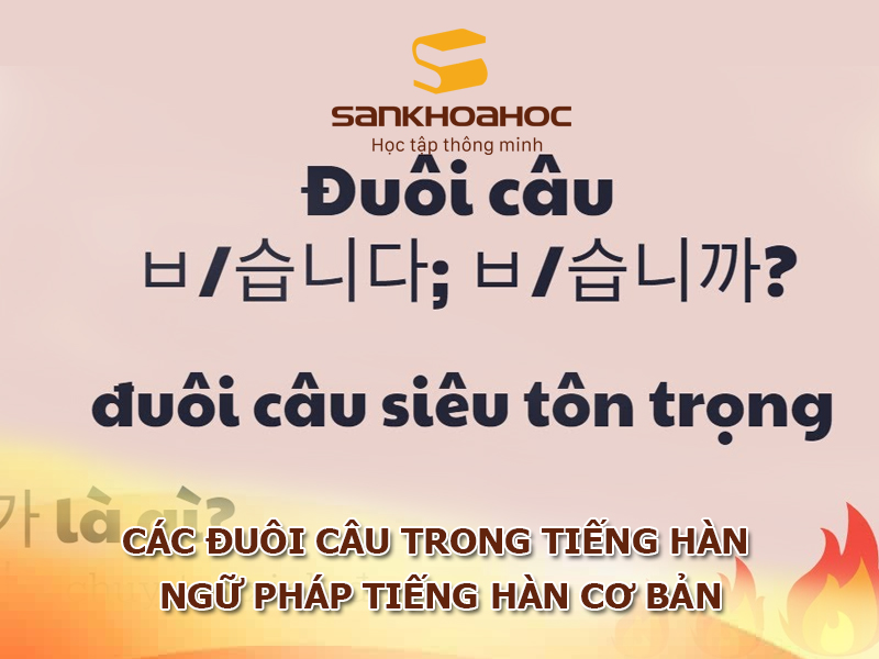 Các đuôi câu trong tiếng Hàn - Ngữ pháp tiếng Hàn cơ bản