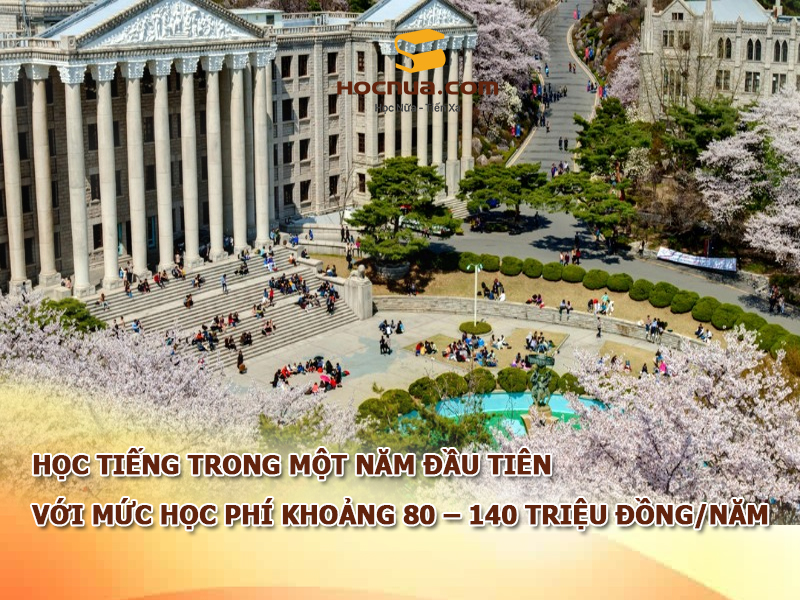 học tiếng trong một năm đầu tiên với mức học phí khoảng 80 – 140 triệu đồng/năm