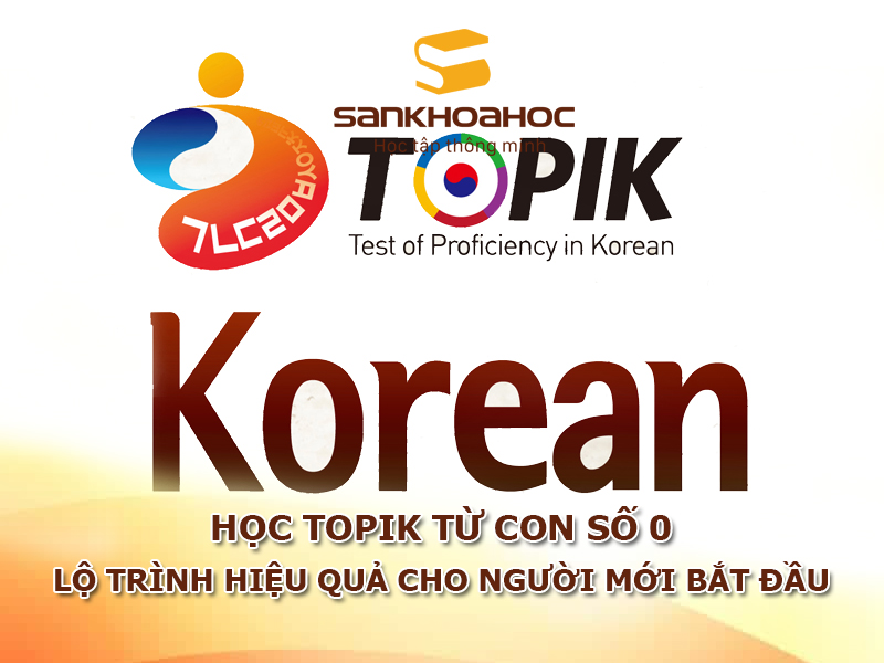 Học TOPIK từ con số 0: Lộ trình hiệu quả cho người mới bắt đầu