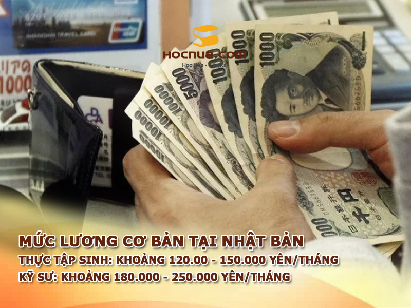 Mức lương cơ bản khi làm việc tại Nhật Bản