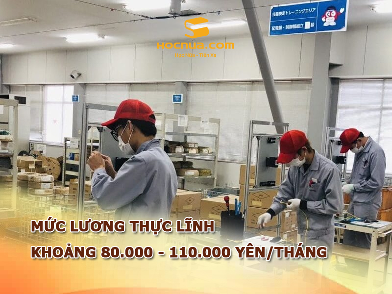 Mức lương thực lĩnh khi đi thực tập sinh Nhật Bản