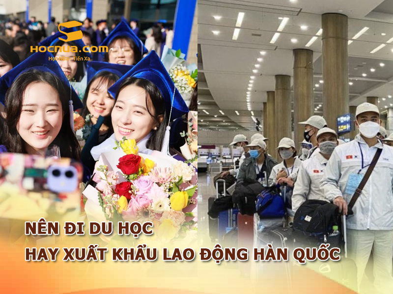Nên đi du học hay xuất khẩu lao động Hàn Quốc? Phân tích chi tiết