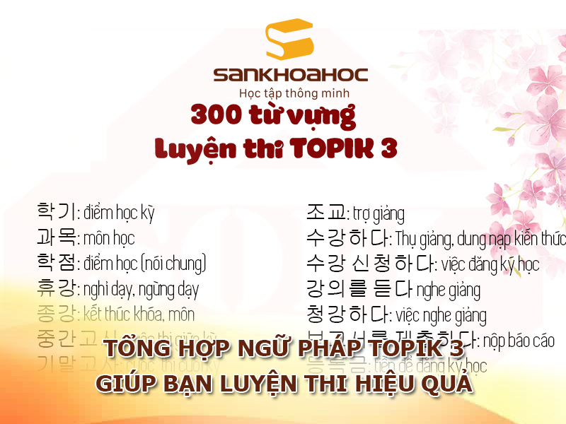 Tổng hợp ngữ pháp TOPIK 3 giúp bạn luyện thi hiệu quả