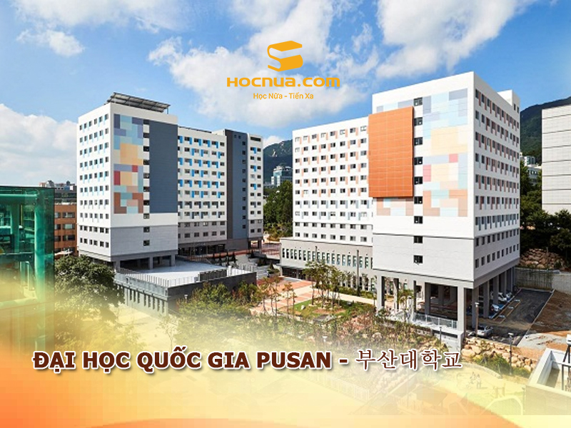 Trường Đại học Quốc gia Pusan - 부산대학교