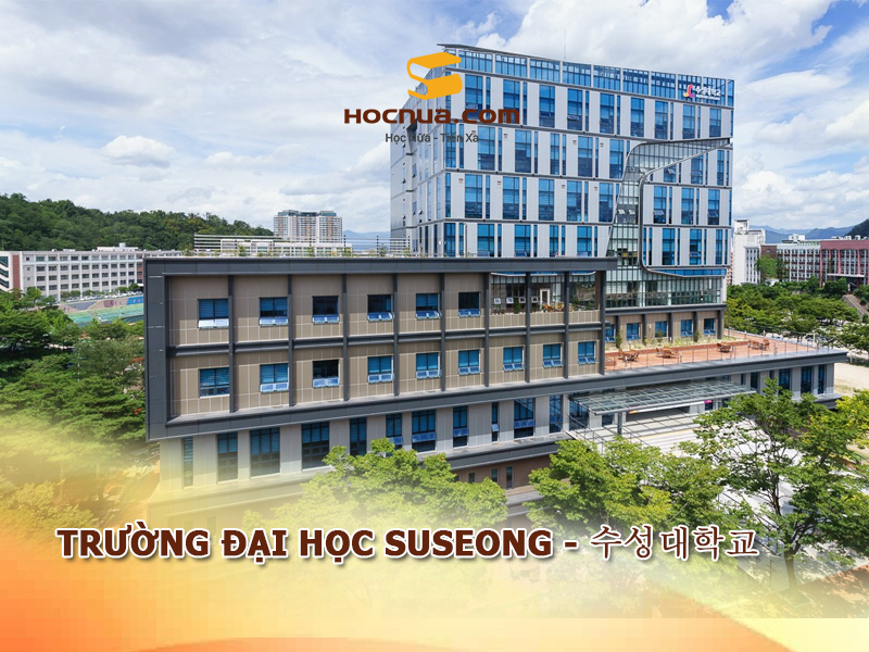 Trường Đại học Suseong - 수성대학교