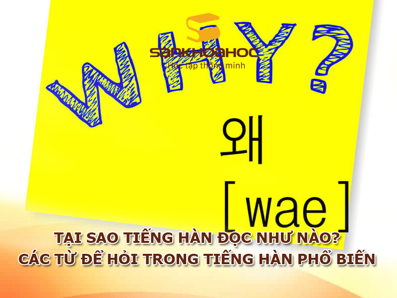 Tại sao tiếng Hàn đọc như nào? Các từ để hỏi trong tiếng Hàn phổ biến
