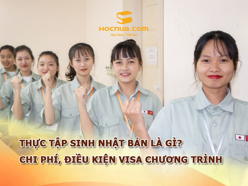 Thực tập sinh Nhật Bản là gì? Chi phí, điều kiện visa chương trình