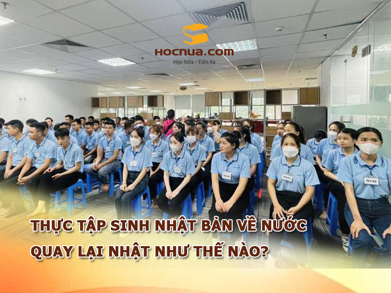 Thực tập sinh Nhật Bản về nước quay lại Nhật như thế nào?