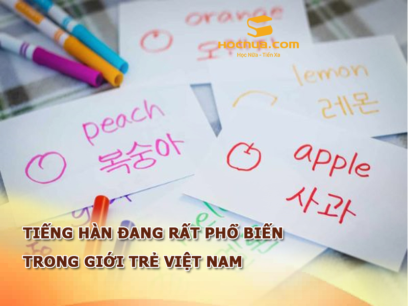 Tiếng Hàn đang rất phổ biến trong giới trẻ Việt Nam những năm gần đây